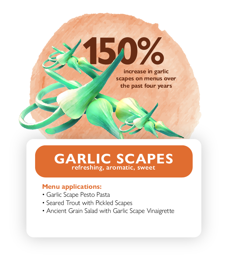 garlic infographic