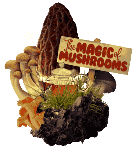 The Magic of Mushrooms GIF