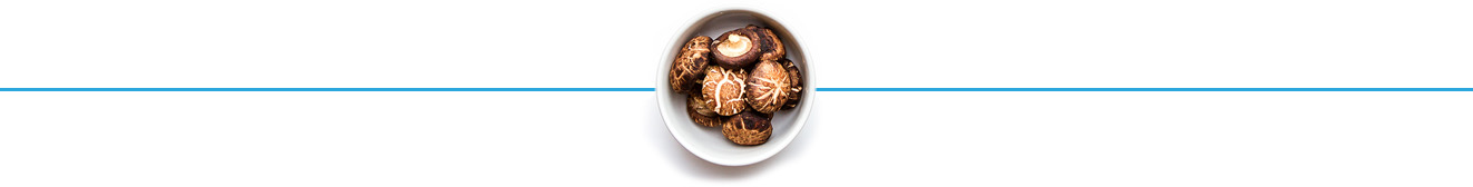 Mushroom Divider Image
