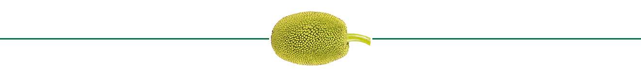durian divider image