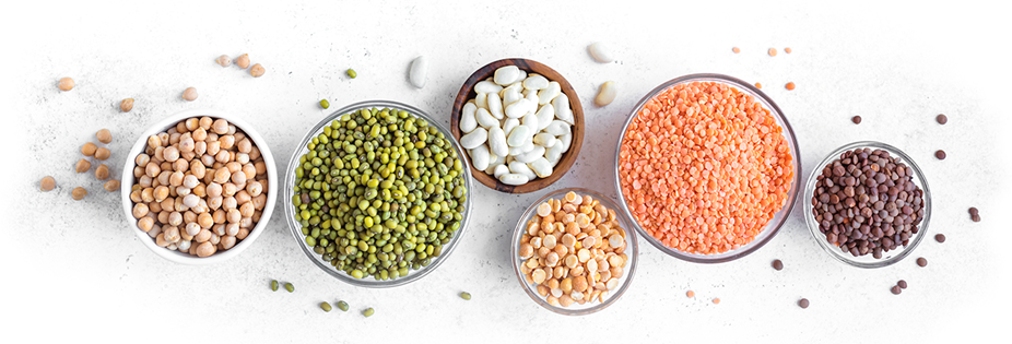 legumes_2_1322x450.png